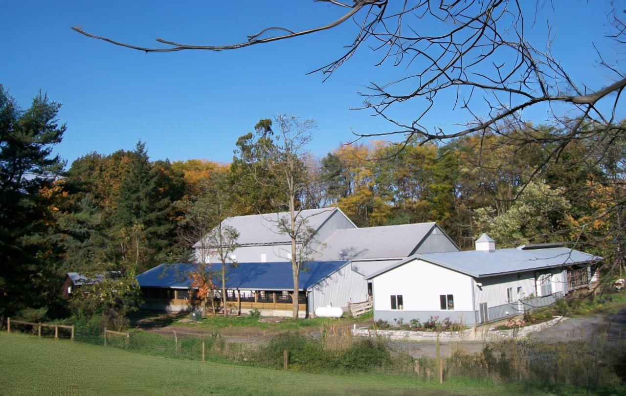 The Farm